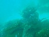 sm_AR-P8213455.JPG
