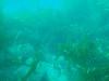 sm_AR-P8213464.JPG