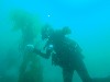 sm_AR-P8213468.JPG