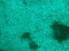 sm_AR-P8213471.JPG
