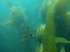 sm_AR-P8213479.JPG