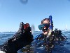 sm_AR-P8213483.JPG