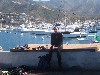 sm_AR-P8213494.JPG