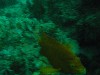 sm_AR-P8213518.JPG