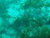 sm_AR-P8213543.JPG
