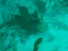 sm_AR-P8213550.JPG