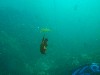 sm_AR-P8213574.JPG