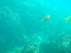 sm_AR-P8213575.JPG