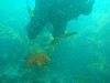 sm_AR-P8213576.JPG