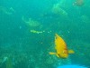 sm_AR-P8213578.JPG