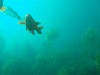 sm_AR-P8213579.JPG
