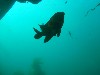 sm_AR-P8213580.JPG
