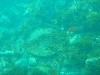 sm_AR-P8213585.JPG