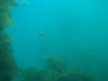 sm_AR-P8213587.JPG