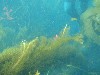 sm_AR-P8213591.JPG