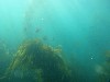 sm_AR-P8213592.JPG