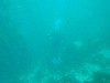 sm_P8213326.JPG