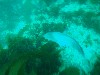 sm_P8213330.JPG