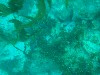 sm_P8213360.JPG