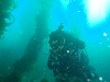 sm_P8213362.JPG