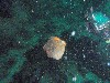 sm_P8213364.JPG