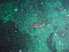 sm_P8213365.JPG