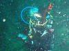 sm_P8213368.JPG