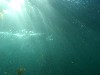 sm_P8213381.JPG