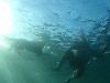 sm_P8213386.JPG