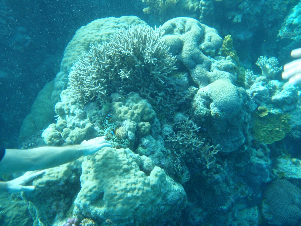 sm_AR-P9013691.JPG