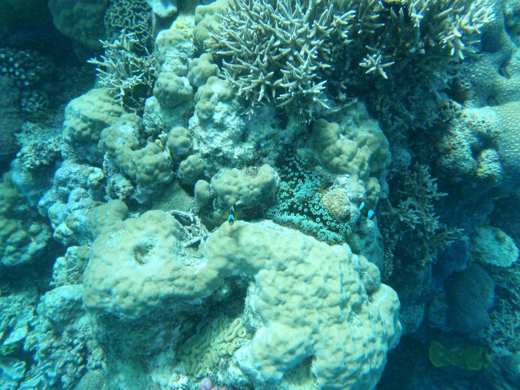 sm_AR-P9013692.JPG