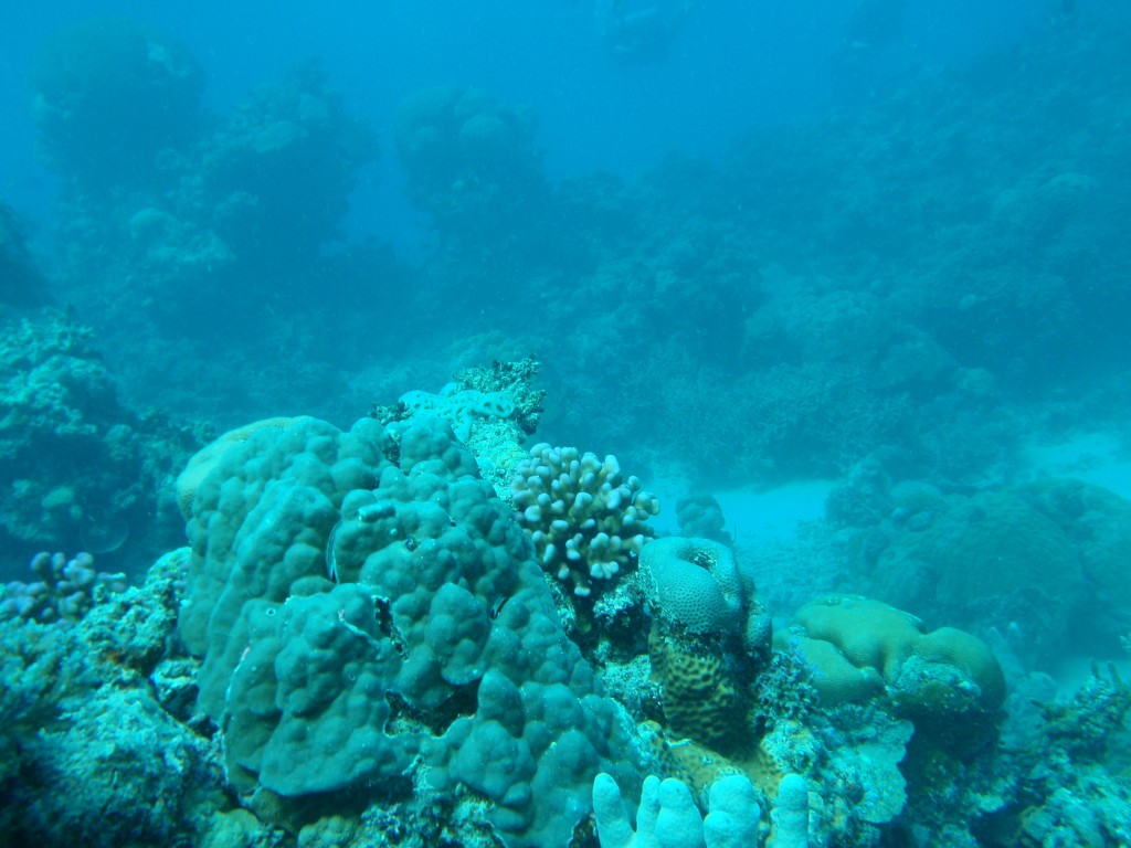 sm_AR-P9013736.JPG