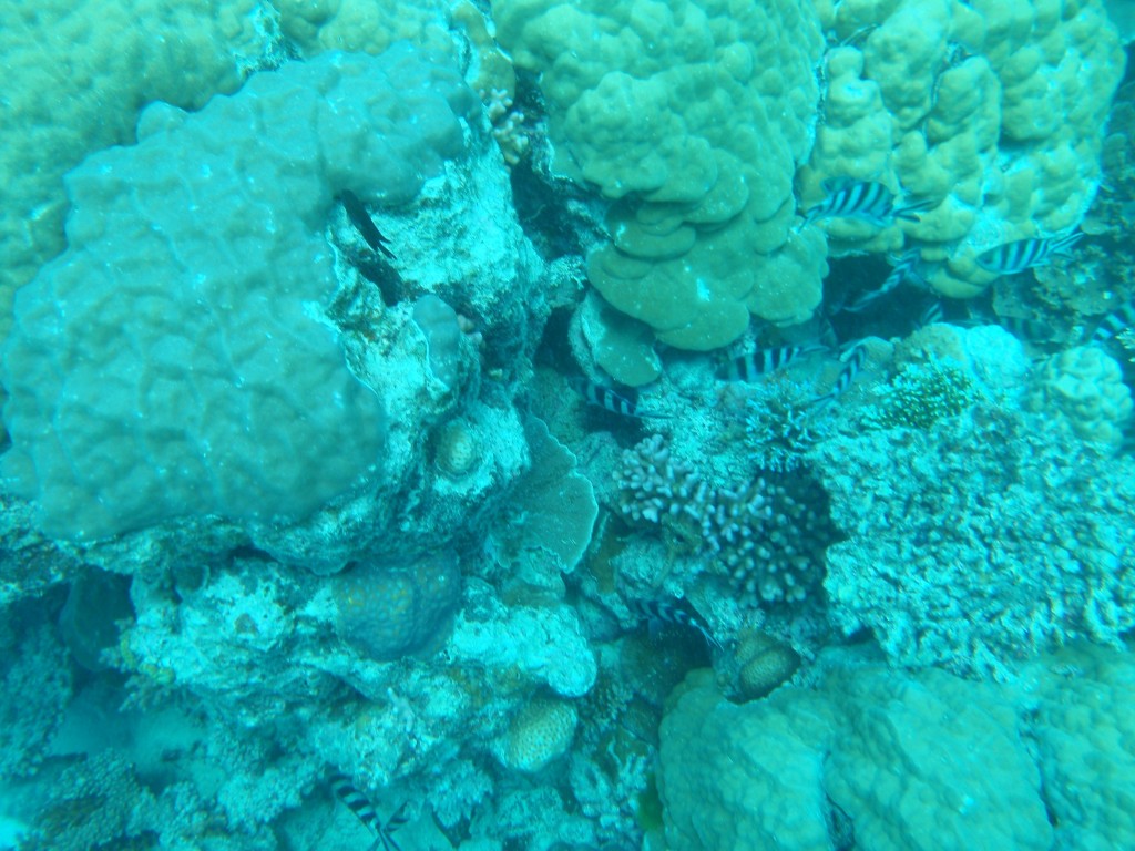 sm_AR-P9013748.JPG