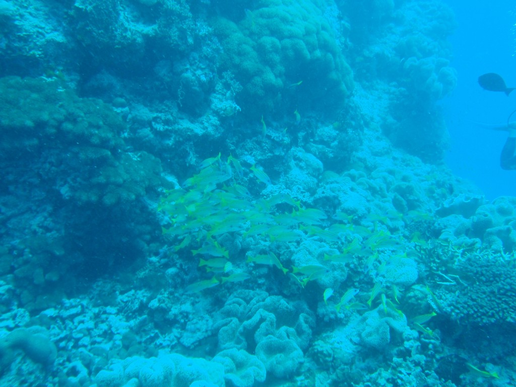 sm_AR-P9013760.JPG