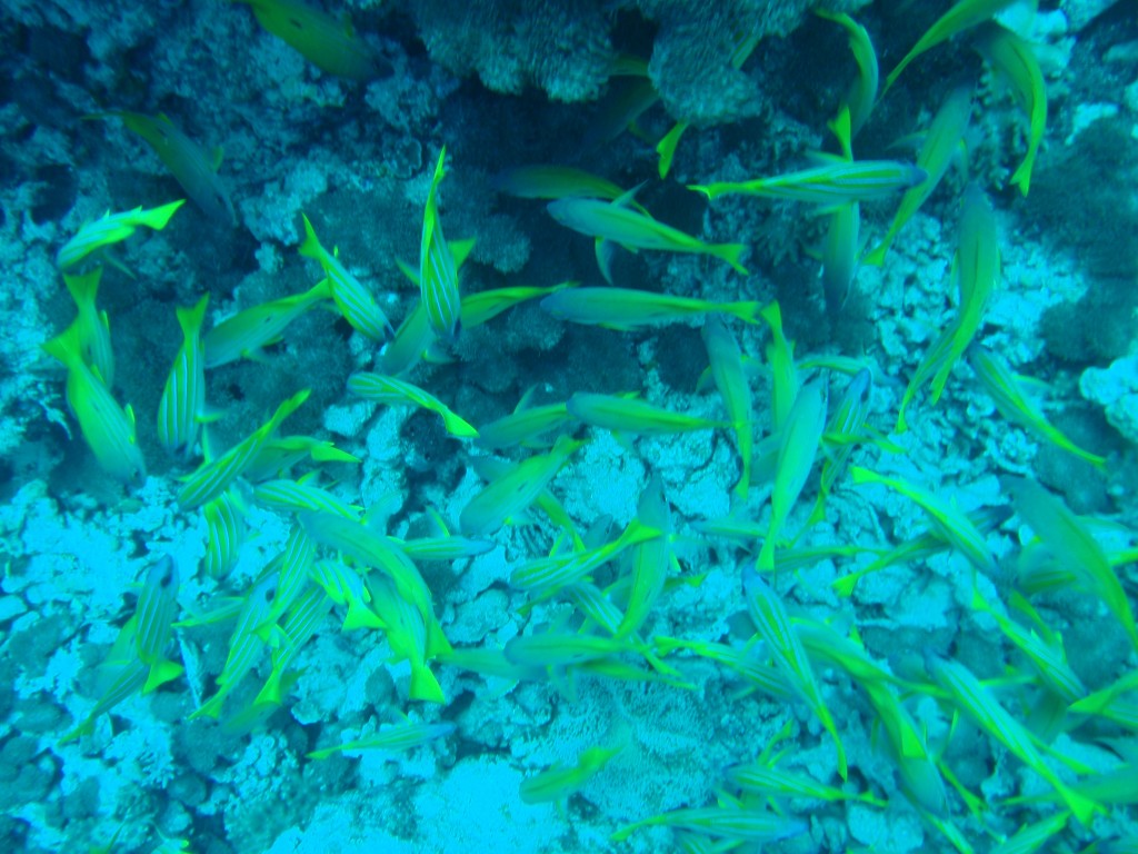 sm_AR-P9013766.JPG