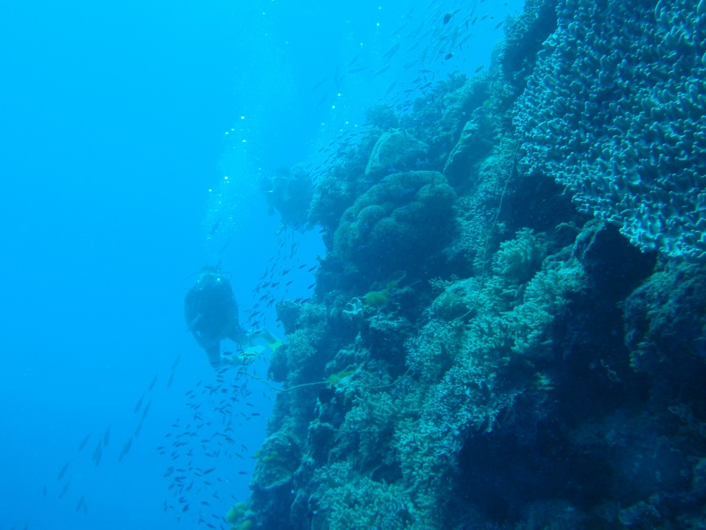 sm_AR-P9013772.JPG