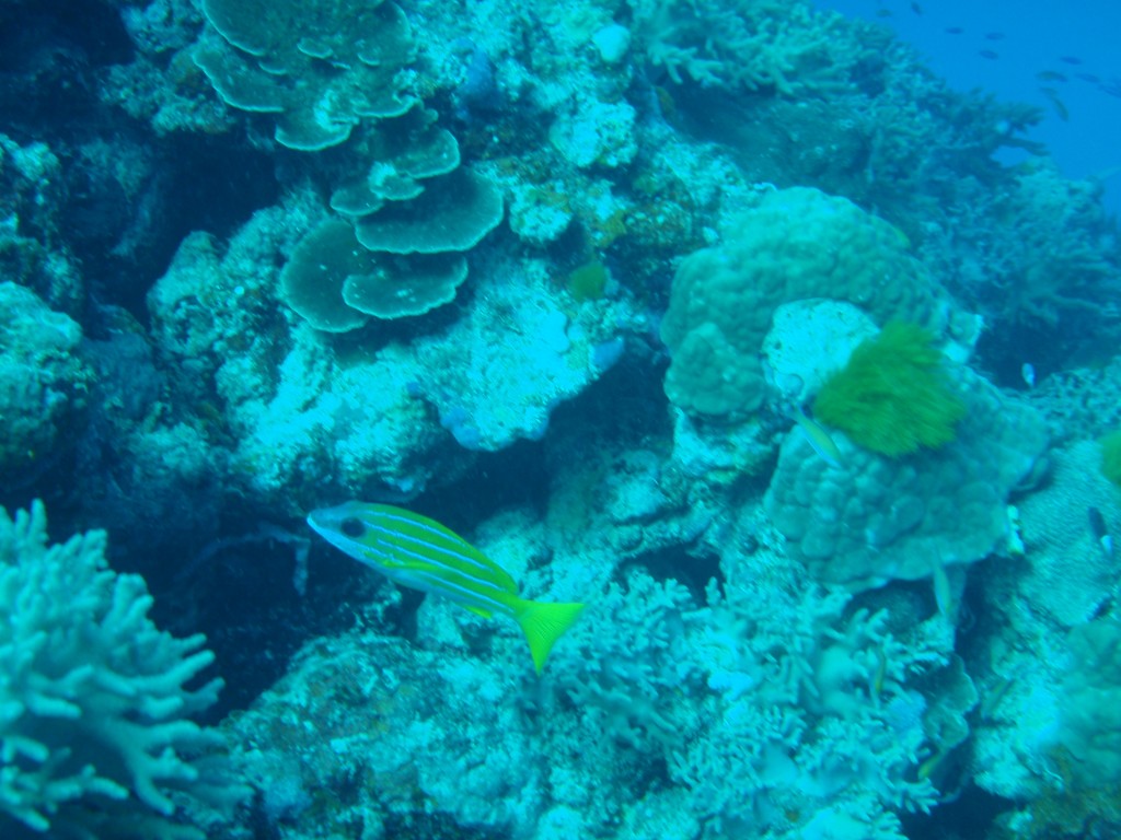 sm_AR-P9013788.JPG