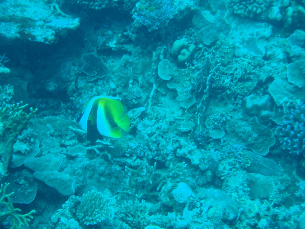 sm_AR-P9033992.JPG