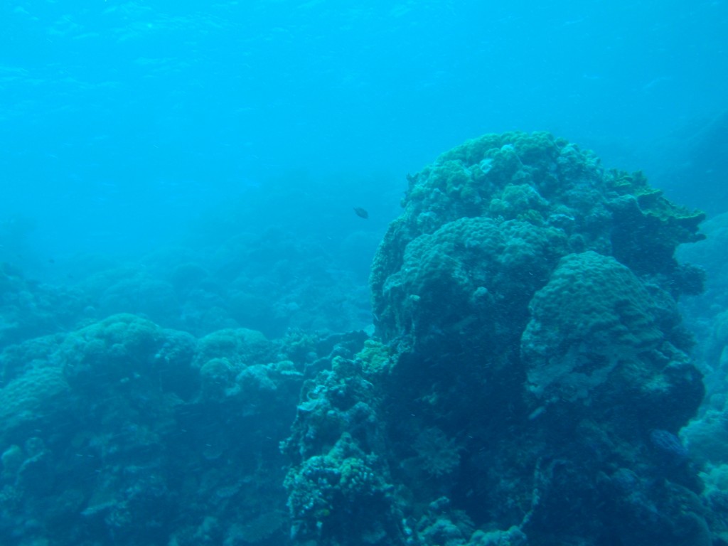 sm_P9013461.JPG