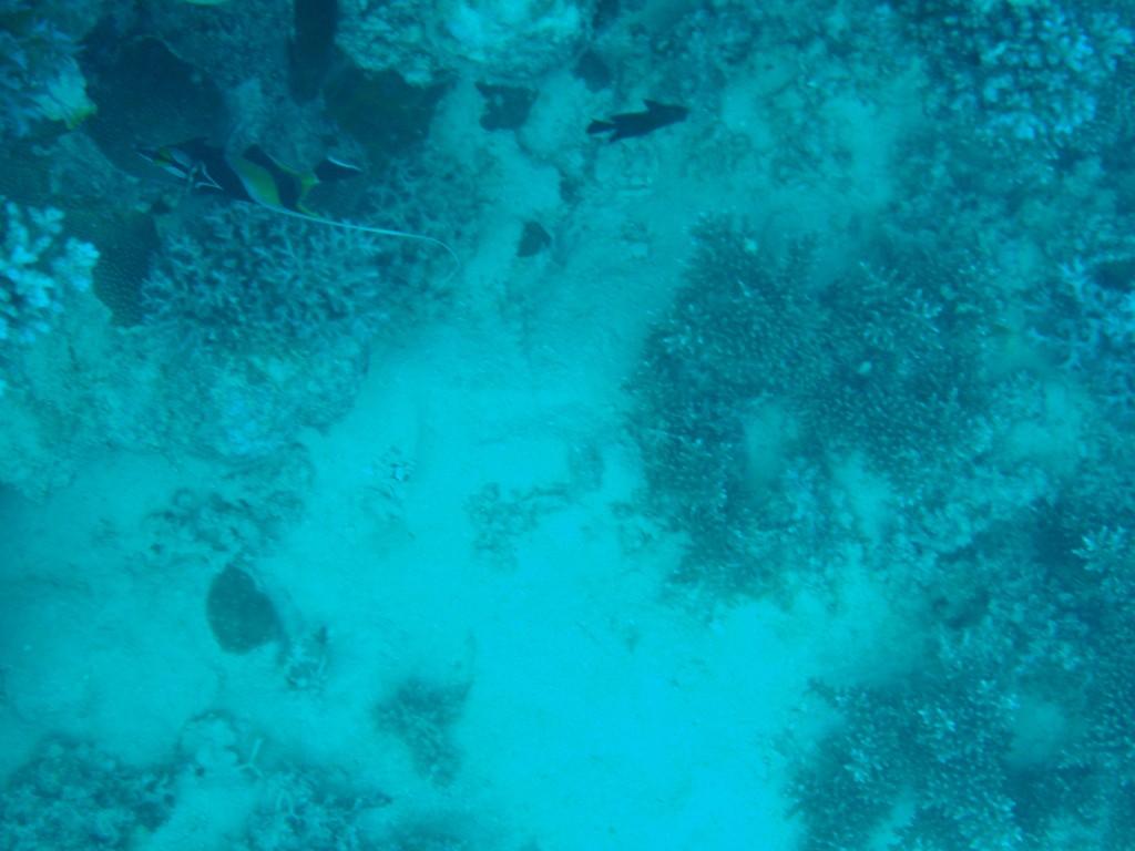 sm_P9013544.JPG