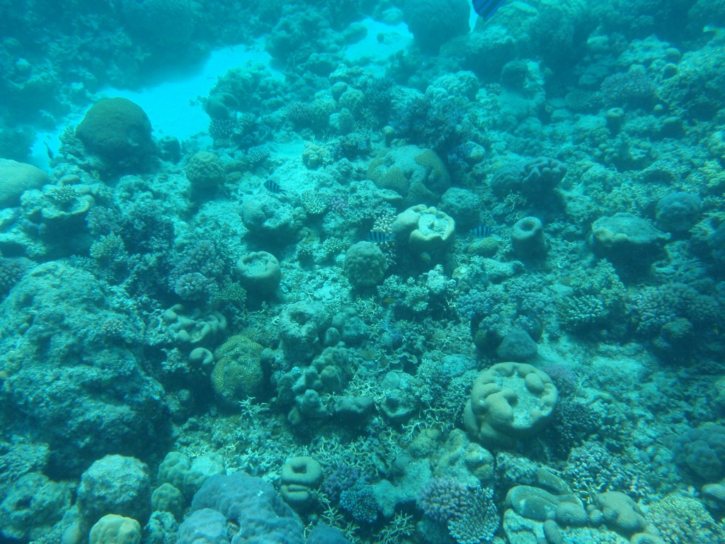 sm_P9013556.JPG