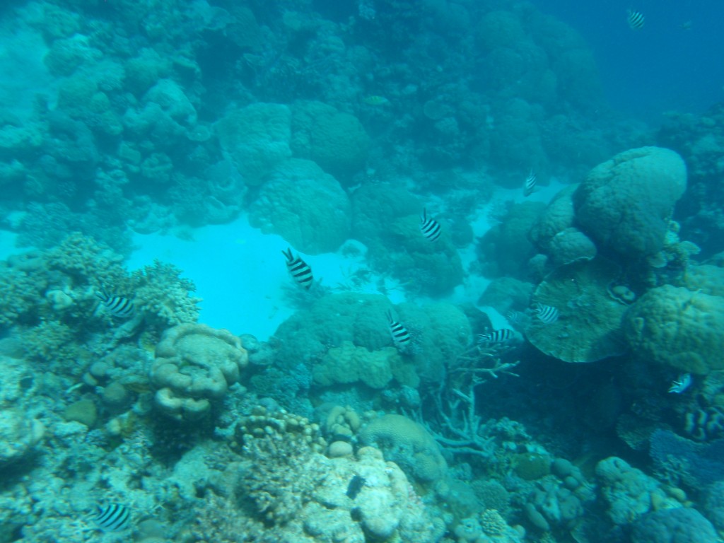 sm_P9013564.JPG