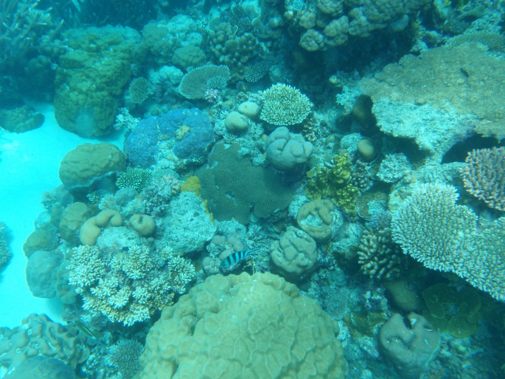 sm_P9013568.JPG