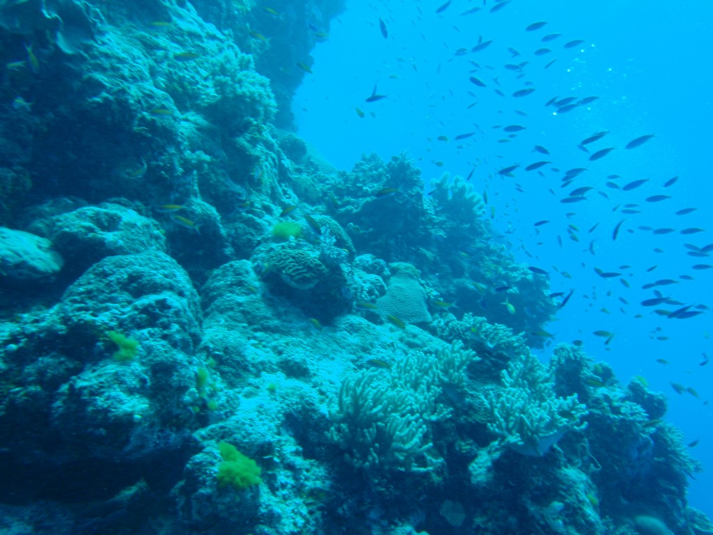 sm_P9013617.JPG
