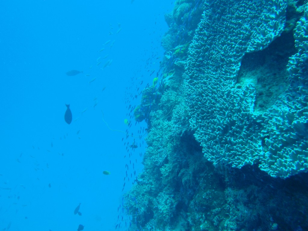 sm_P9013627.JPG