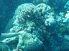 sm_AR-P9013691.JPG