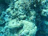 sm_AR-P9013692.JPG
