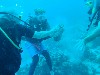 sm_AR-P9013720.JPG