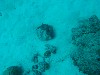 sm_AR-P9013729.JPG