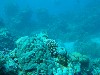 sm_AR-P9013736.JPG